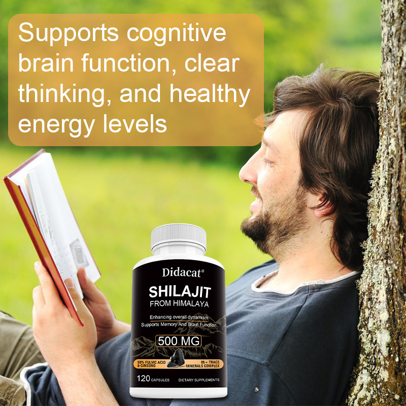 Himalayan Shilajit & Ginseng C – Herbal Wellness Formula Bewertung und Preis