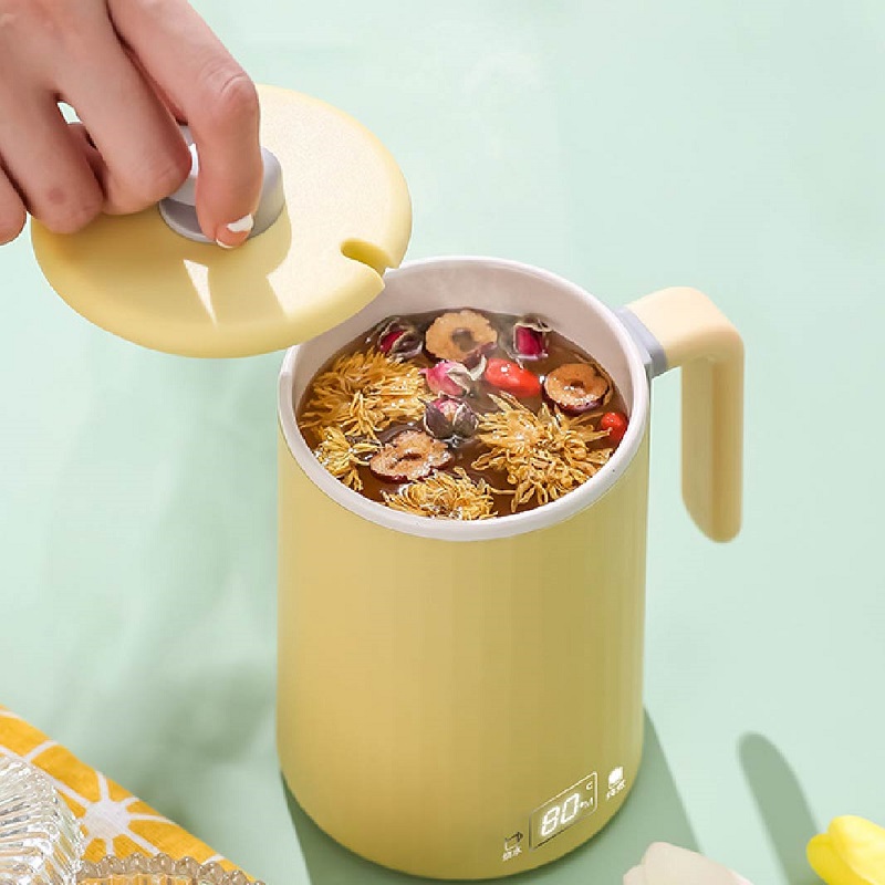 110V/220V Health Pot Portable  – Herbal Tea For Wellness Bewertung und Preis